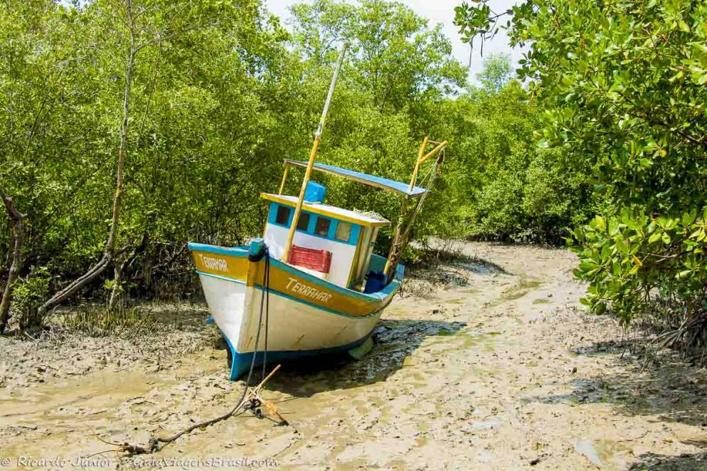 Imagem de um barco em volta de arvores na Praia Corumbau.